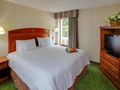 Hotel Hampton 3*